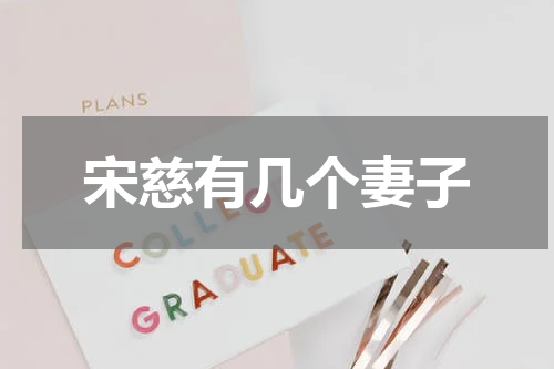 宋慈有几个妻子