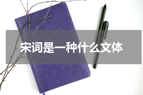 宋词是一种什么文体