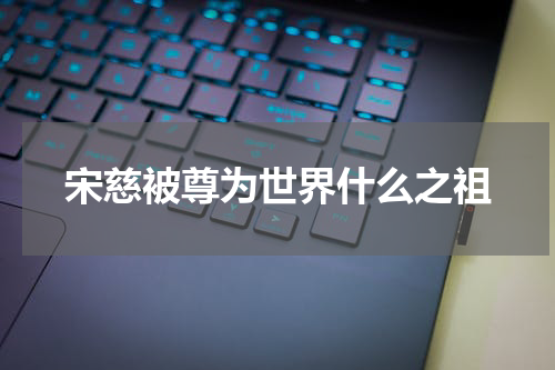 宋慈被尊为世界什么之祖