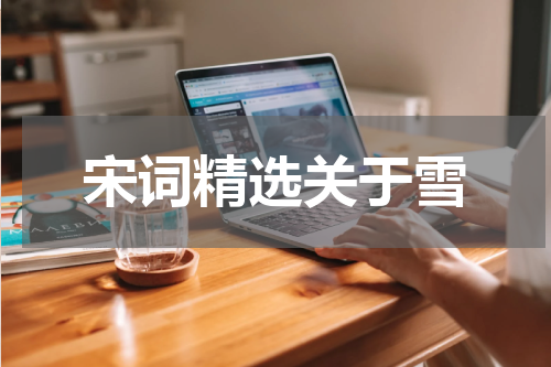 宋词精选关于雪
