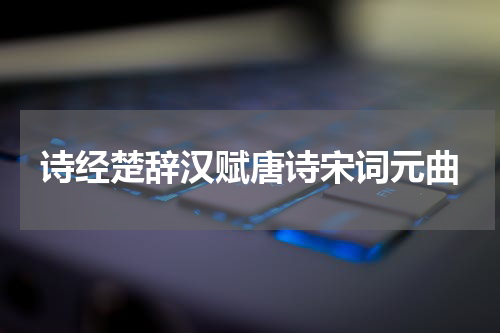 诗经楚辞汉赋唐诗宋词元曲