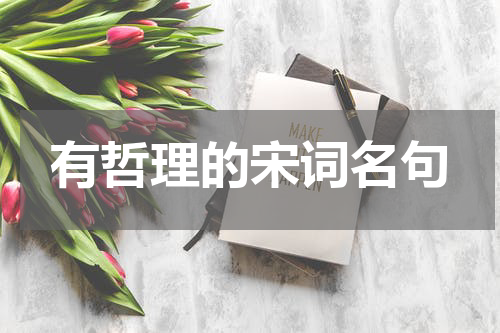 有哲理的宋词名句