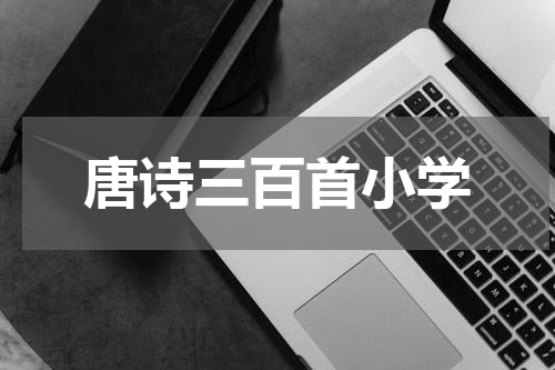 唐诗三百首小学