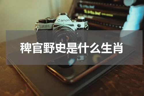 稗官野史是什么生肖