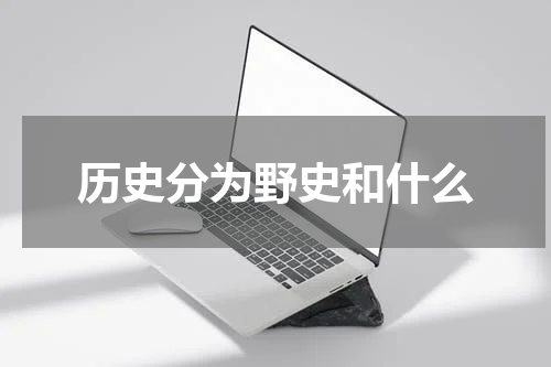 历史分为野史和什么