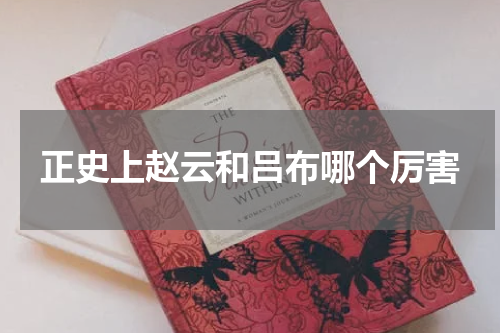 正史上赵云和吕布哪个厉害
