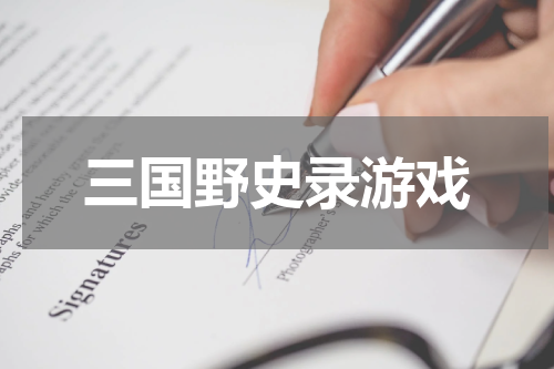 三国野史录游戏