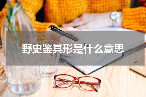 野史鉴其形是什么意思