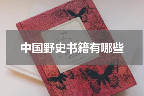 中国野史书籍有哪些