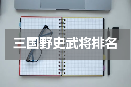 三国野史武将排名