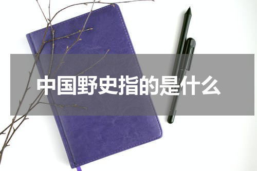 中国野史指的是什么