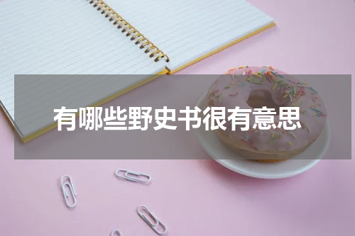 有哪些野史书很有意思