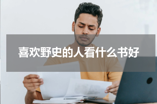 喜欢野史的人看什么书好