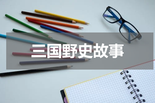 三国野史故事