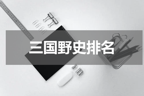 三国野史排名