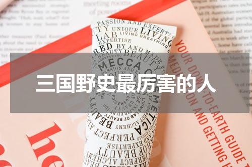 三国野史最厉害的人