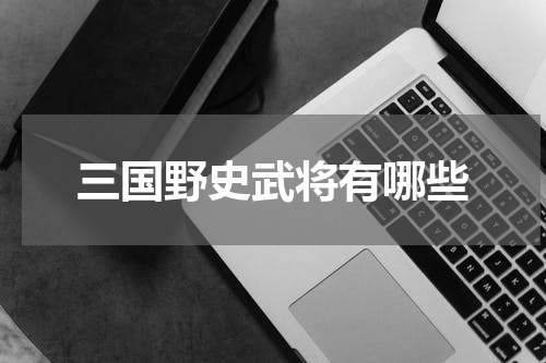三国野史武将有哪些