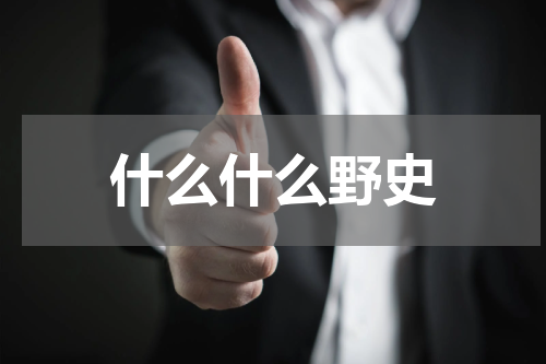 什么什么野史