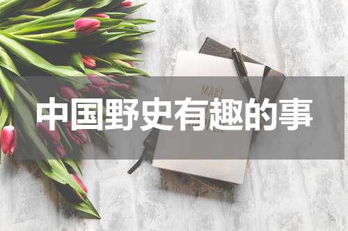 中国野史有趣的事