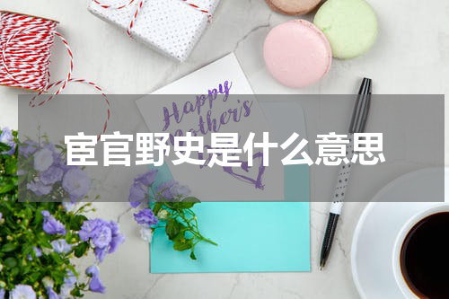 宦官野史是什么意思