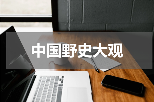 中国野史大观