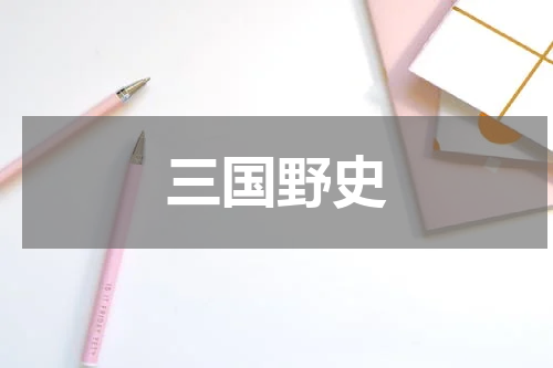 三国野史
