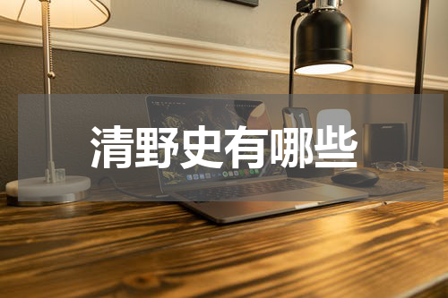 清野史有哪些