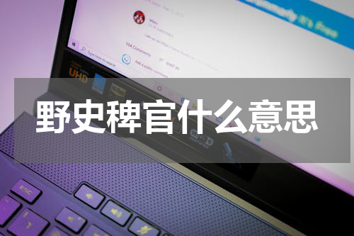 野史稗官什么意思