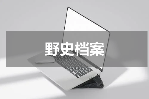 野史档案