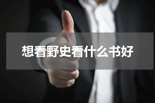 想看野史看什么书好