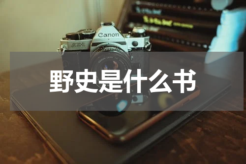 野史是什么书