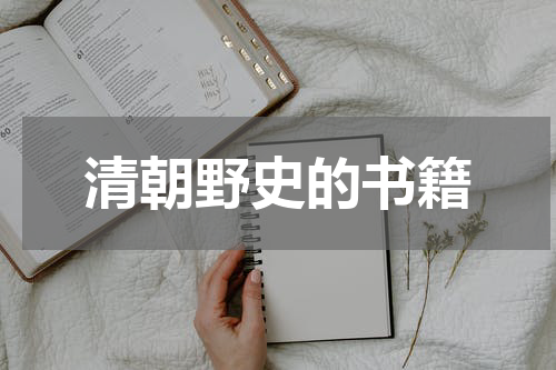 清朝野史的书籍
