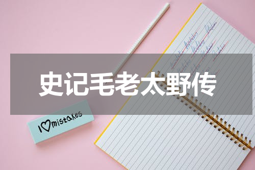 史记毛老太野传