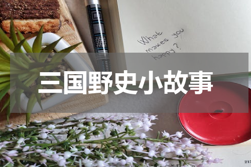 三国野史小故事