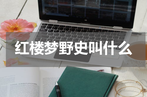 红楼梦野史叫什么