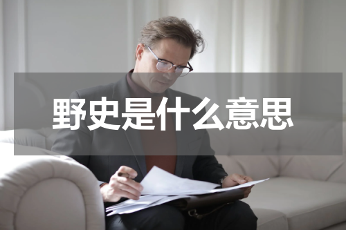 野史是什么意思