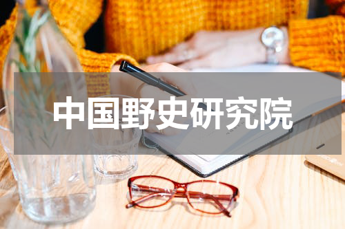 中国野史研究院
