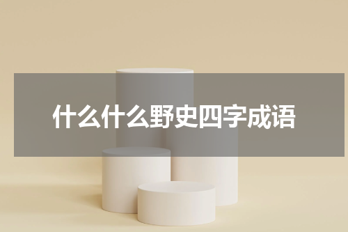 什么什么野史四字成语