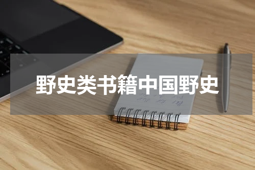 野史类书籍中国野史