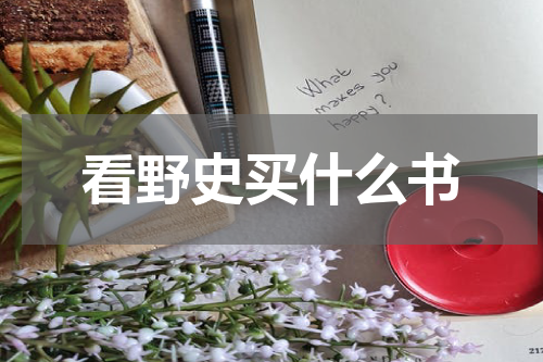 看野史买什么书