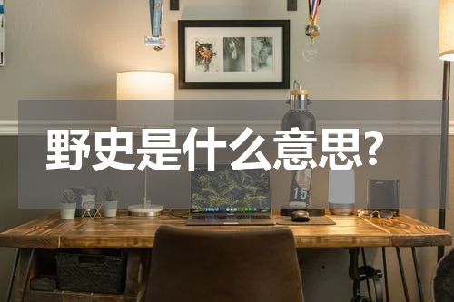 野史是什么意思?