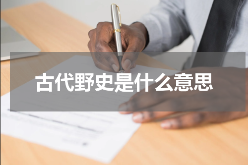 古代野史是什么意思