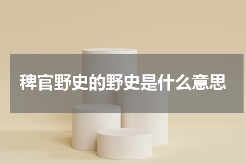 稗官野史的野史是什么意思