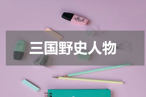三国野史人物