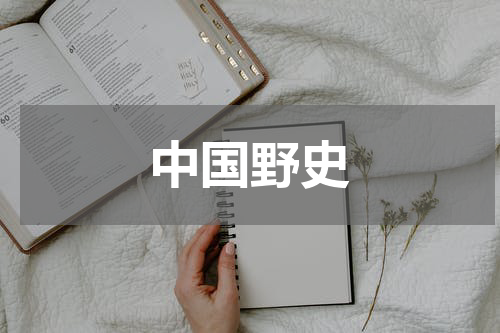 中国野史