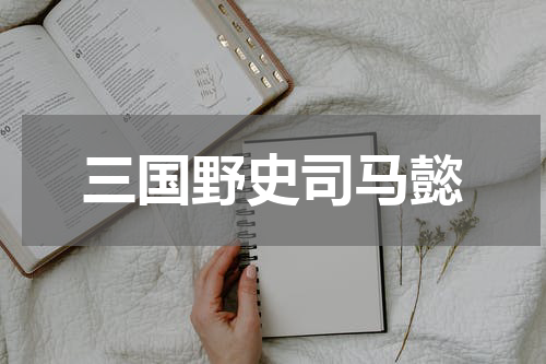 三国野史司马懿