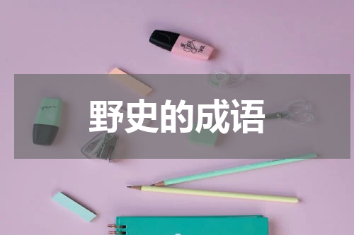 野史的成语