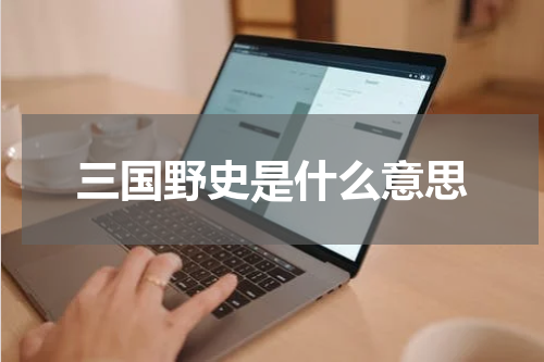 三国野史是什么意思