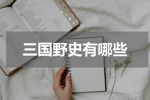 三国野史有哪些