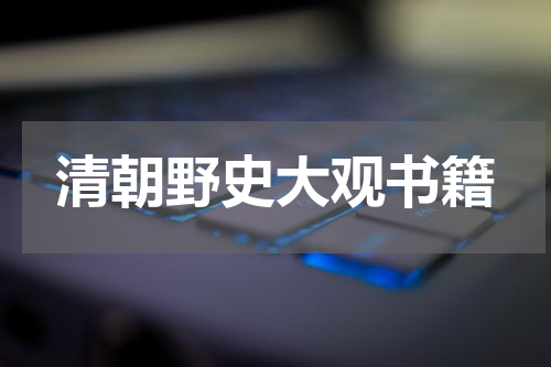 清朝野史大观书籍